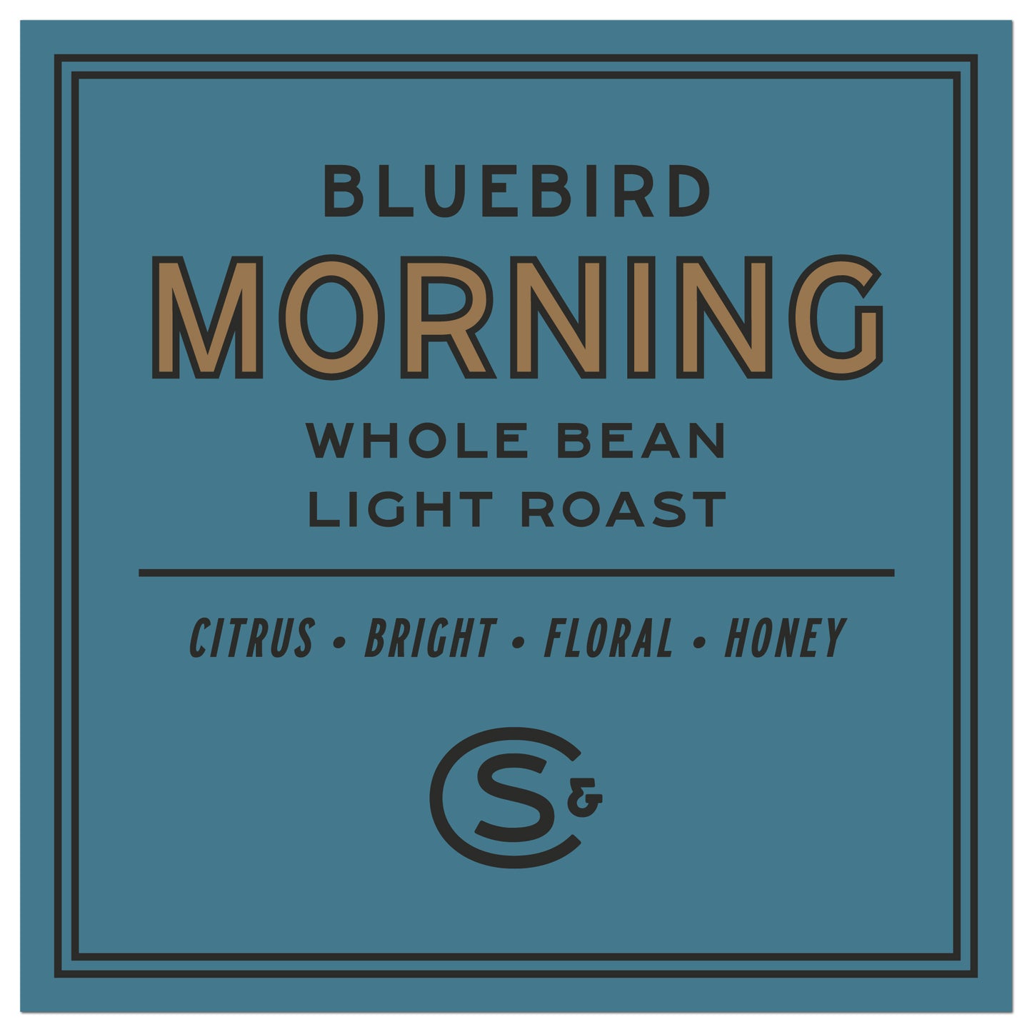 BLUEBIRD MORNING